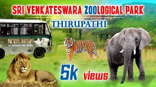 Tirupati Zoo Park | 🐅 sri Venkateswara Zoological Park #Royalmaheshtelugu