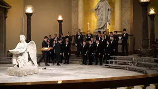 Хор мальчиков в Кафедральном соборе Богоматери VOR FREU KIRKE