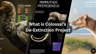 Ressurrecting the Woolly Mammoth, When will it happen? | Colossal Labs De-Extinction