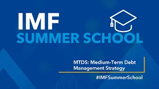 IMF SUMMER SCHOOL: Medium-Term Debt Management Strategy (MTDSx)