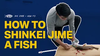 How to Shinkei Jime a Fish: Ike Jime How To