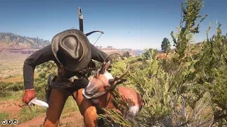 Red Dead Redemption 2 - Hunting In Rio Bravo