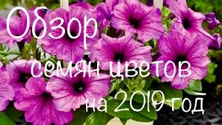 Обзор семян цветов на 2019 год