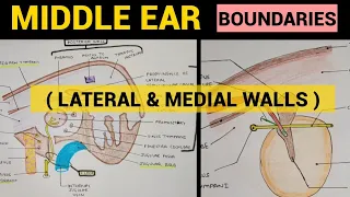 Middle Ear Anatomy - 3 | Boundaries ( Lateral & Medial )