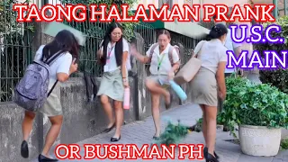 TAONG HALAMAN PRANK OR BUSHMAN PH: USC MAIN, EVEN THOUGH THEY GOT PRANKED THEY STILL LOOK PRETTY".