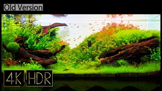 [Old Ver.] Relaxation 🌱🐠 Aquascape Video • Fixed 3hours 4K HDR 60fps • Water sound ♯005