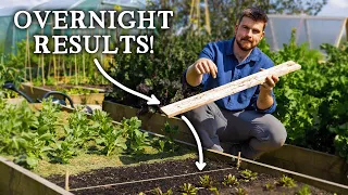 FREE Slug Control Trick Every Gardener Can Use Today!