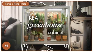 Building DIY Greenhouse Cabinet Indoor Set Up | IKEA MILSBO Plant Styling Tutorial | 06