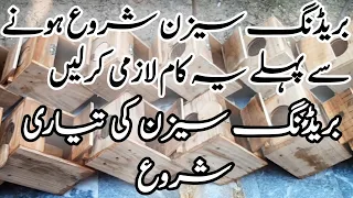 Lovebird Breeding tips|How to Disinfant Breeding box and Nesting Material|بریڈنگ سیزن کی تیاری شروع