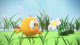 Onde está Chicky? 2022 🌼 A FLOR MÁGICA ⭐️ Desenhos Animados Infantil