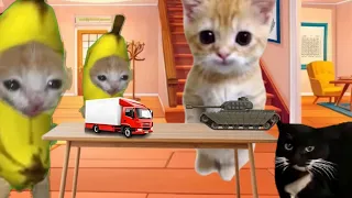 Baby Banana Cat Compilation 😺❤️ 2 Minutes #48