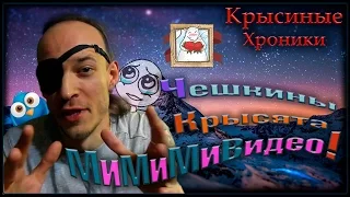 Крысята | Чешкины крысята - "Мимими" видео! - Отдыхаем душой. (Fancy Rats)