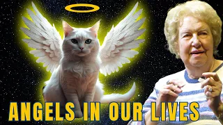 The Spiritual Significance of Every Cat Color!
