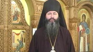 Поздравление с Рождеством Христовым епископа Каинского и Барабинского Феодосия.
