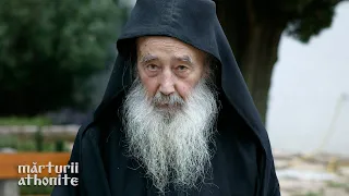 Părintele Petroniu Tănase, înnoitorul vieții monahale de la Prodromu #MărturiiAthonite