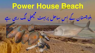 Gadani power house fishing! Power house balochistan fishing! Gadani fishing! Bundewari fishing