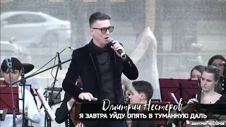 Дмитрий Нестеров - Я завтра уйду опять в туманную даль / концерт с оркестром в парке