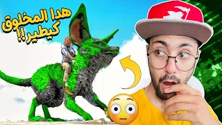 ارك مع خويا #5 : ترويض الجربوع ديال المتابعين، صدمني؟! 😱 | Ark M3a Khoya