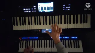 Mike Oldfield - Moonlight Shadow - Korg Nautilus/Yamaha SX 900 ( Remix )