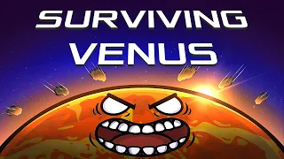 The 'Surviving Venus' Arc