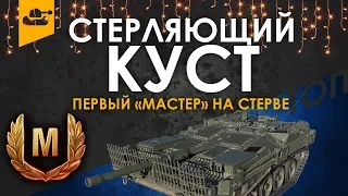 Кустовая стерва. Первый "МАСТЕР" на Strv 103B | World of Tanks