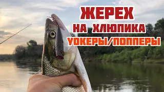 ЖЕРЕХ НА ХЛЮПИКА | УОКЕРЫ И ПОППЕРЫ ДЛЯ ЖЕРЕХОВОЙ ЛОВЛИ