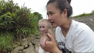 So Sad, Today Mom and Monkey Kiti want Go To Nature
