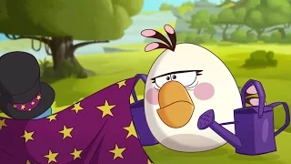 Angry Birds Toons S1E48   Shrub It In