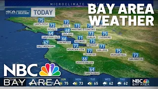 Forecast: Early fog then sunny and mild