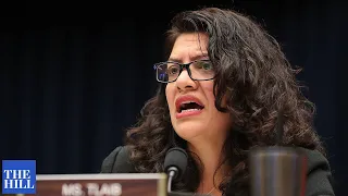 Tlaib: Climate Corps would connect environmental justice with economic and racial justice