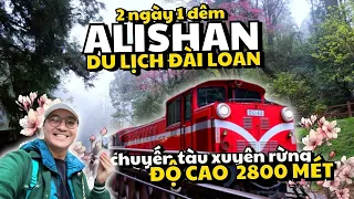 🇹🇼 Du lịch Đài Loan ĐỪNG BỎ QUA ALISHAN - Trải nghiệm trekking trong rừng và ngắm bình minh ở 5°C