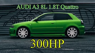 Evija un viņas AUDI A3 8L 1.8T Quattro