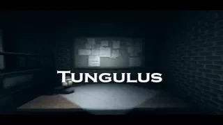 Tungulus - Walkthrough - In the evil house