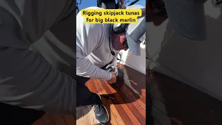 Rigging Live Tunas For Marlin - Marlin #fishing