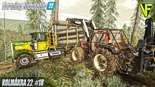 Cutting The FINAL Logs | Holmåkra 22 | Farming Simulator 22 Start From Scratch