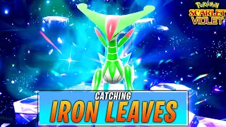 Catching an IRON LEAVES in Pokémon Scarlet and Violet (No Commentary)