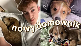 NASZ NOWY CZŁONEK RODZINY🐶🤍