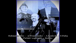 Franz Schubert - Notturno - Rubinstein Trio - A.Wesolowska - A.Kostecki - S.Firlej.mp4