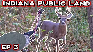 ARROW BOUNCES OFF BUCK AT 20 YARDS | INDIANA PUBLIC LAND | EP 3