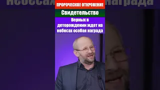 Верных в деторождении ждёт особая награда. Епископ Андрей Башмаков. Откровение - свидетельство