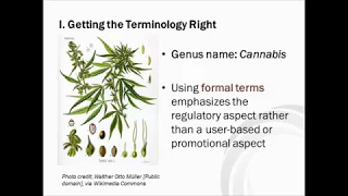 How We Talk About "Pot" Matters: Risk Messaging for Cannabis Legalization