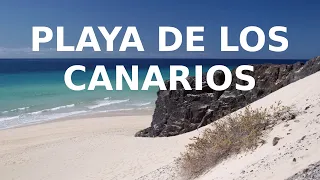 Playa de los Canarios, Fuerteventura