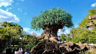 Disney's Animal Kingdom 2021 Complete Walking Tour in 4K | Walt Disney World Orlando Florida