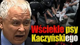 Wściekłe psy Kaczyńskiego. Władza PiS promuje brutalnych i łamiących prawo policjantów.