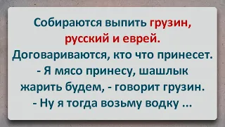 ✡️ Решили Забухать Грузин, Русский и Еврей! Еврейские Анекдоты! Анекдоты про Евреев! Выпуск #141