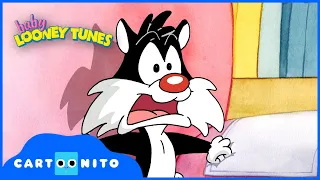 Baby Looney Tunes | Scared of Lightning | Cartoonito UK