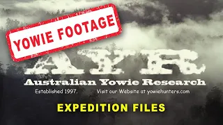 AYR Yowie Footage - Shot in the Gold Coast Hinterland 4th of April 2021