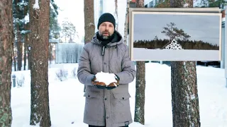 Antti Stöckell kertoo ympäristötaiteesta