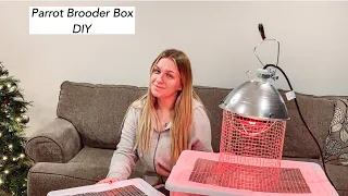 Parrot Brooder Box DIY- Make Your Own Brooder Box