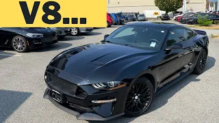 Used 2019 Ford Mustang GT real life walkaround!